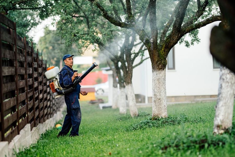 Echipa Compania DDD în timpul unui tratament de exterior împotriva țânțarilor